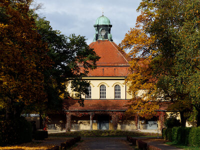 Westfriedhof. Foto: Alexander Yarmak